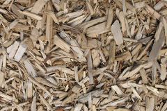 biomass boilers Minions