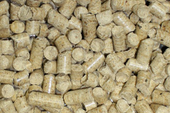 Minions biomass boiler costs