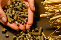 free Minions biomass boiler quotes